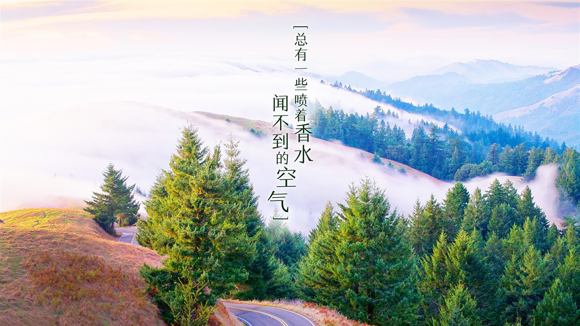 世俱杯对阵表-《电竞“潜规则”揭秘：行业内鲜为人知的内幕》，细说电竞