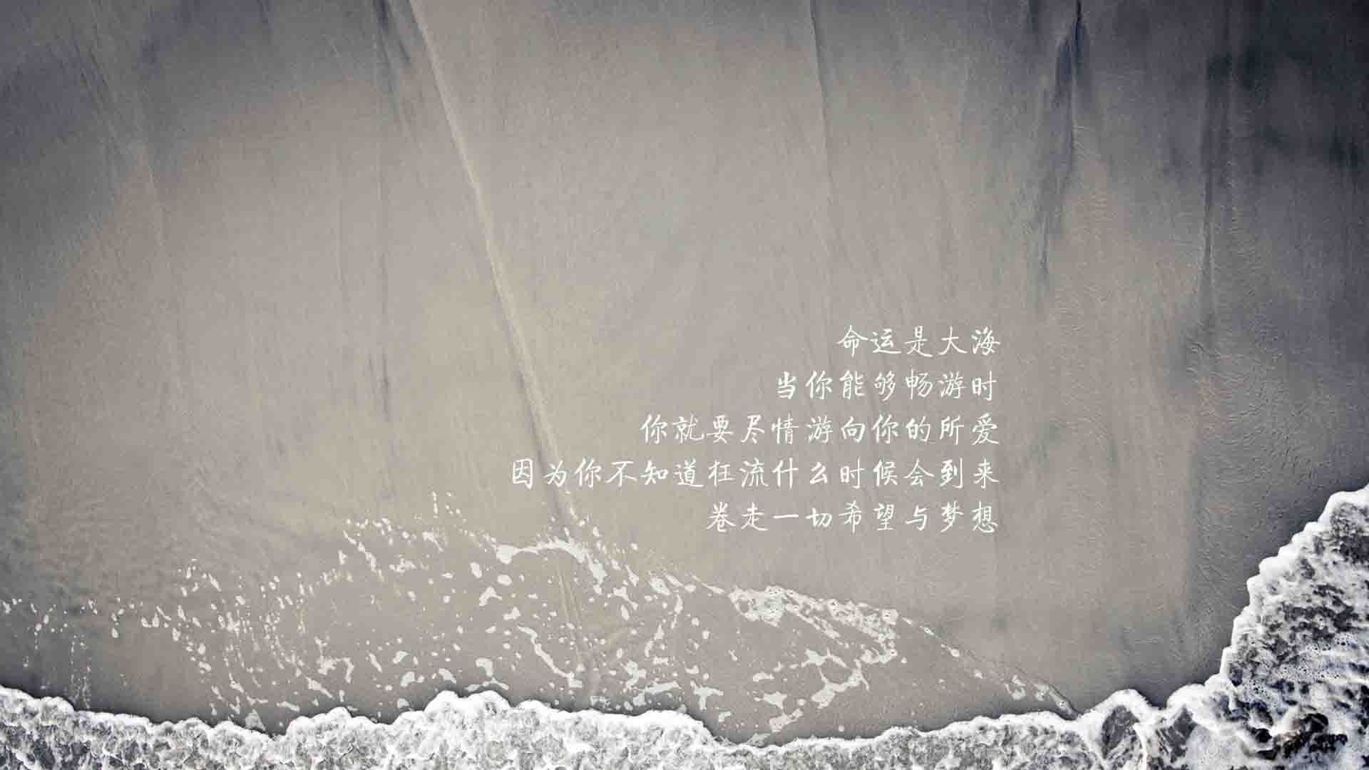 2025世俱杯赛程-太阳在客场逆转骑士，布克最后时刻投中制胜三分！，太阳布克合同
