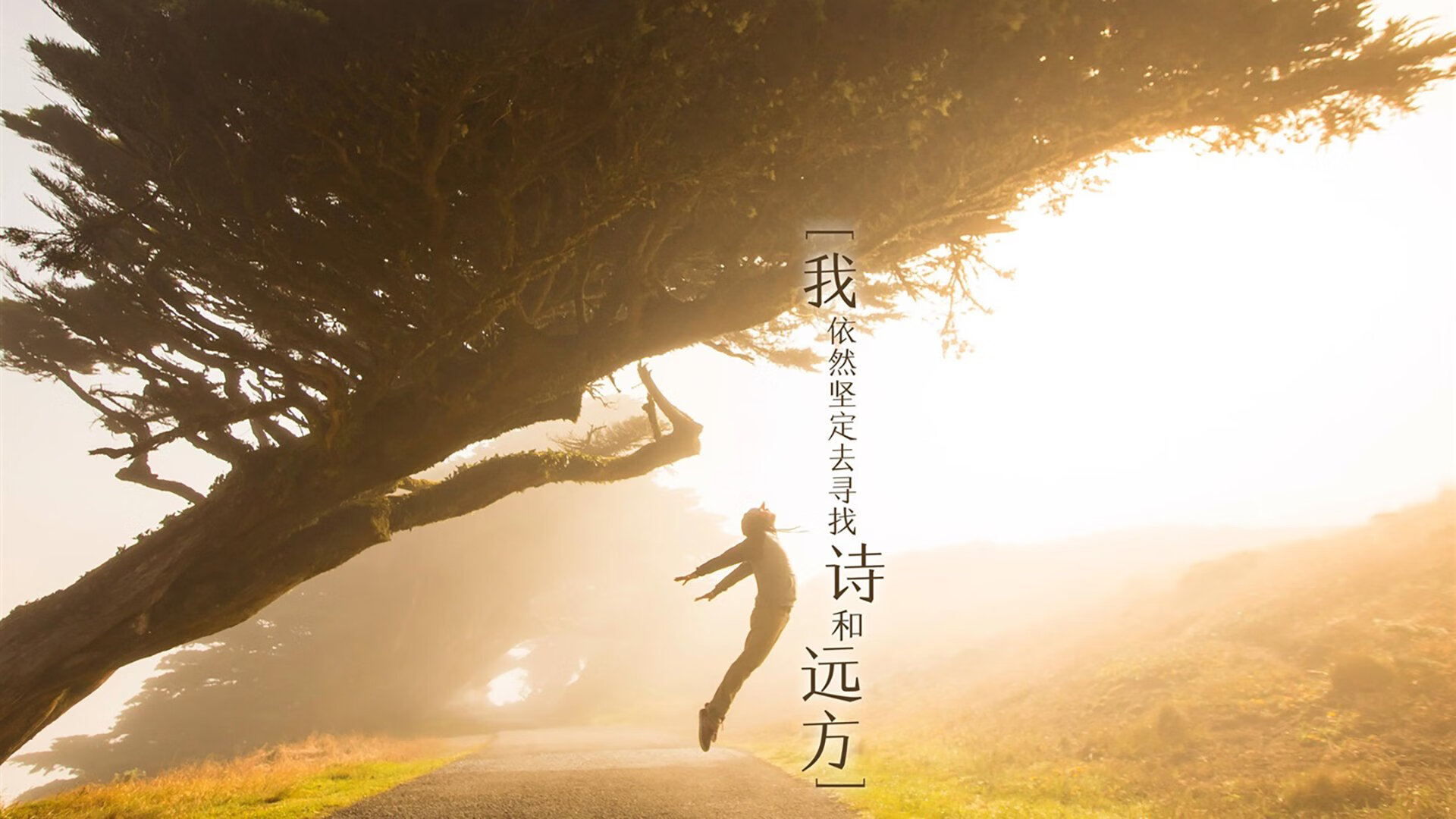 2025世俱杯对阵表-切尔西女足战术打法深入解析，切尔西女足什么水平