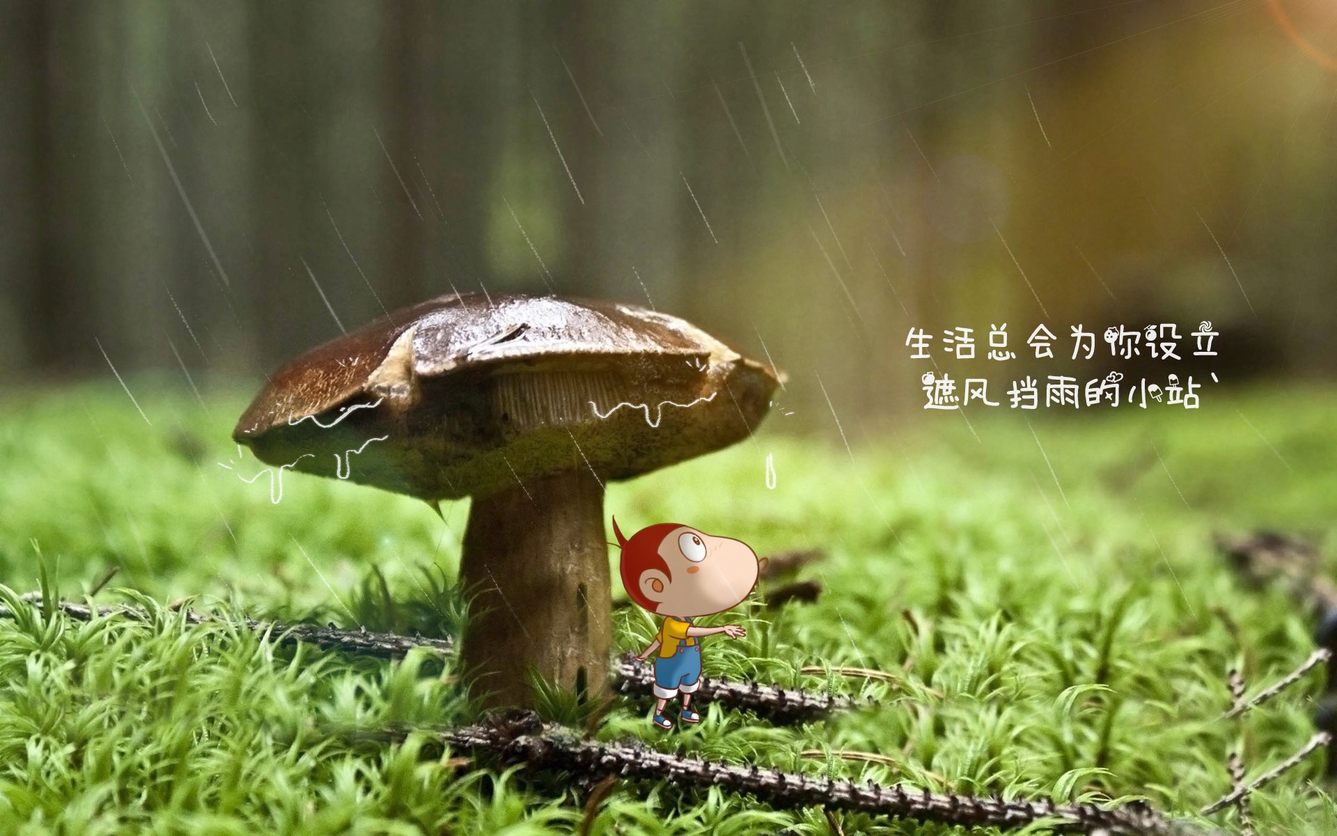 足球世界俱乐部杯直播-羽毛球亚锦赛国羽包揽冠亚军，羽毛球亚锦赛国羽包揽冠亚军是谁