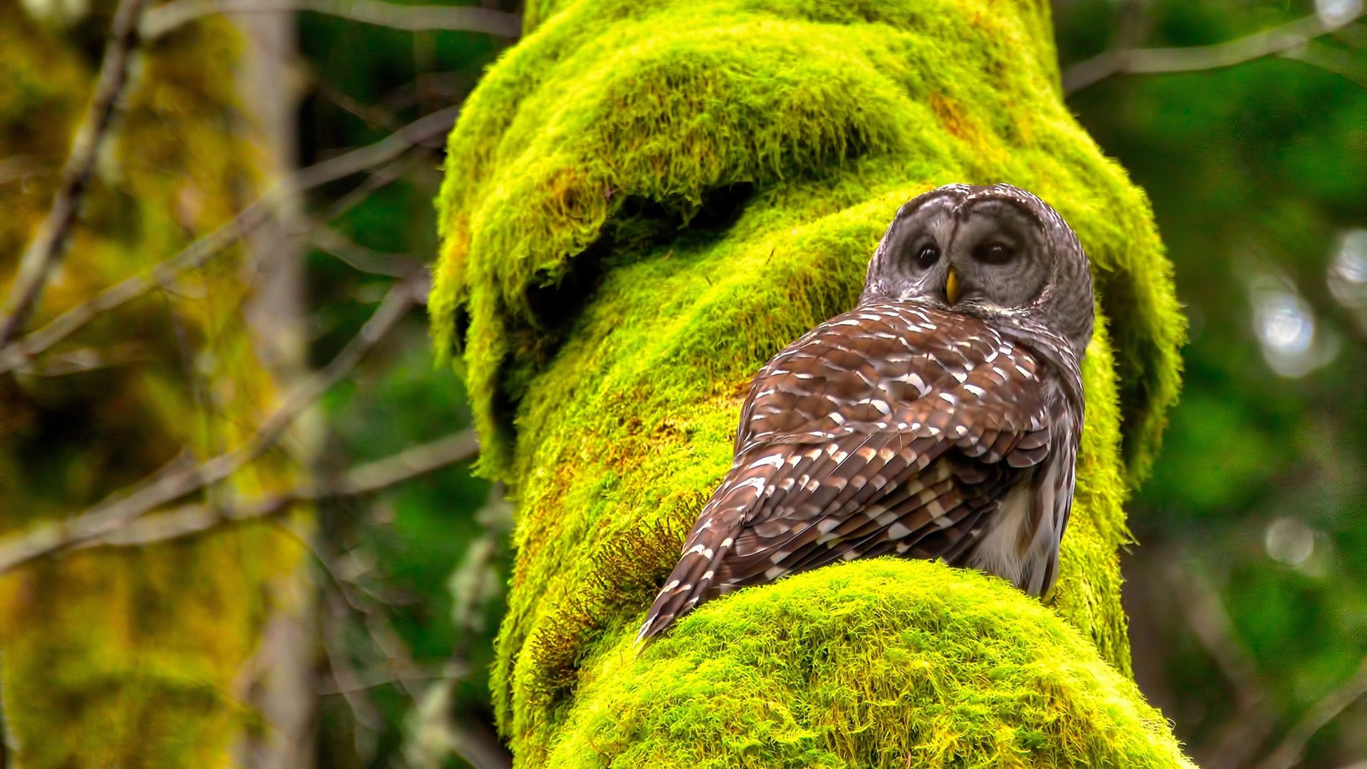 韩选手星际争霸选手表现稳定,星际争霸韩国徒弟是谁