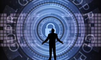 FIFA Club World Cup-中国篮球联赛赛事安全管理优化与执行研究，篮球赛事安全风险