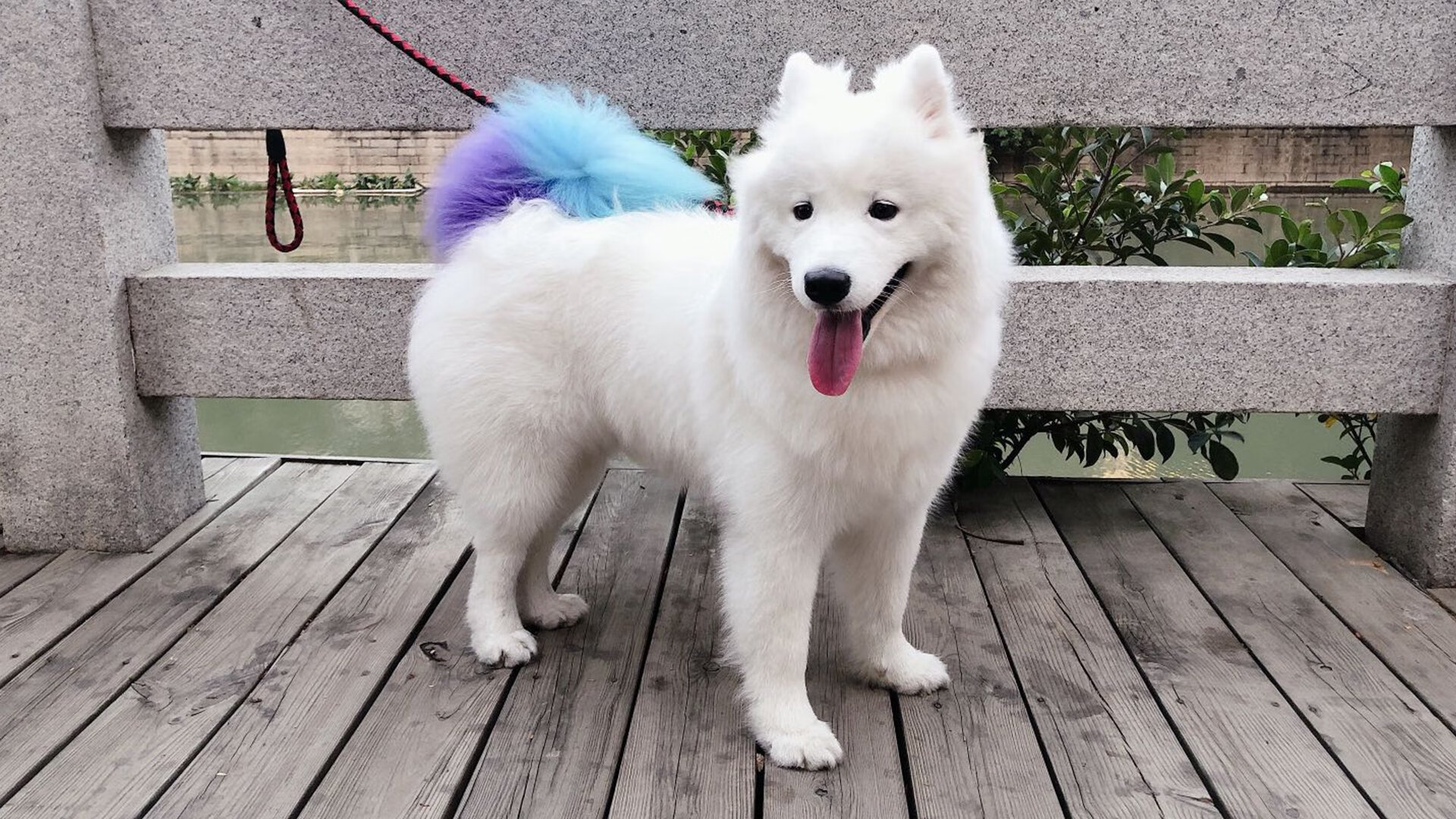 世俱杯专业体育赛事直播平台-国足年度整体控场能力指数评估，据说国足场地要这样才能赢