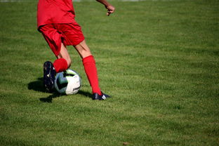 世俱杯比赛视频在线观看-意甲裁判语义分析系统在比赛判罚中的应用研究，意甲第三轮裁判