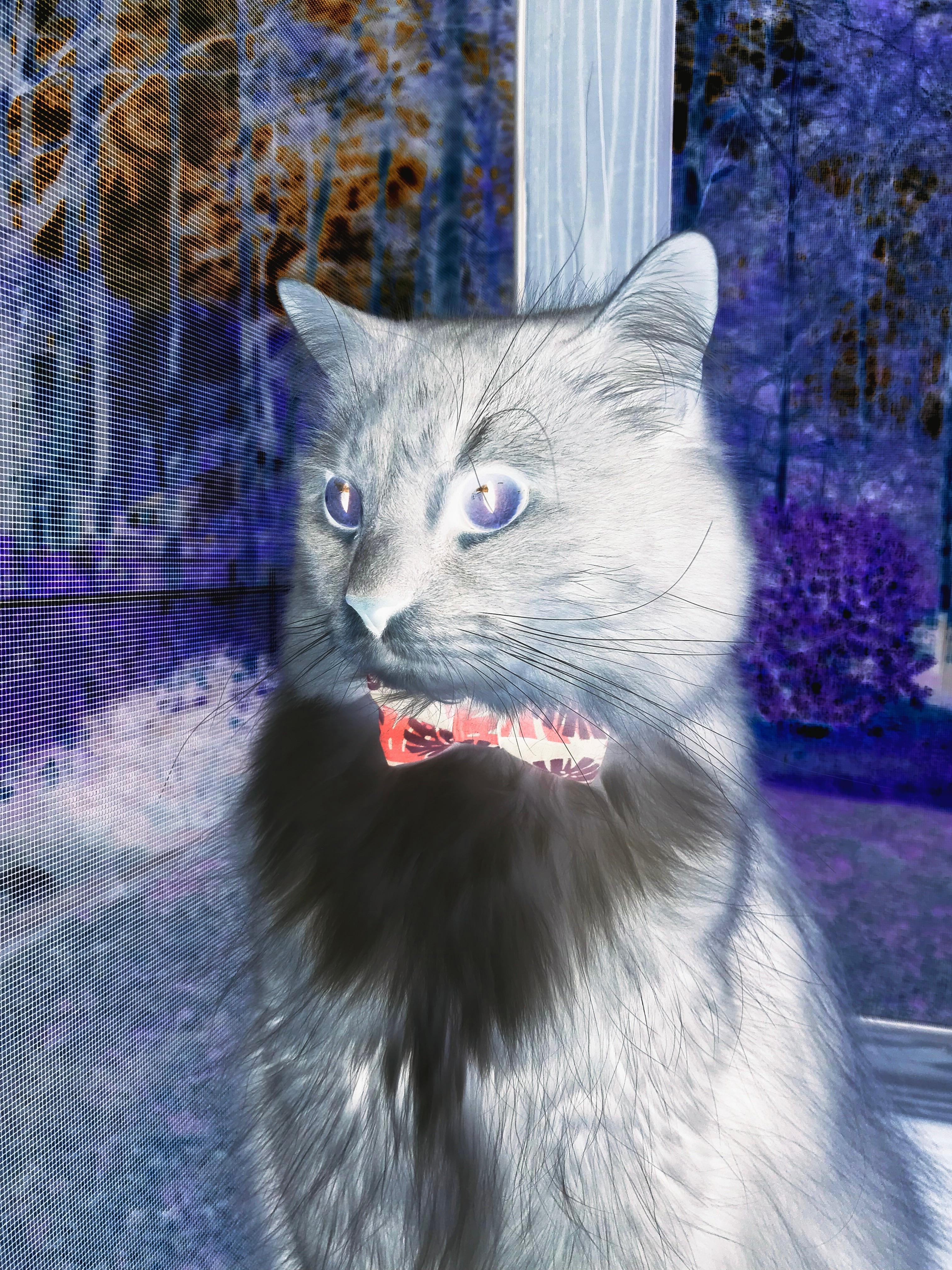 校园体育文化建设评价体系研究，校园体育文化建设评价体系研究论文