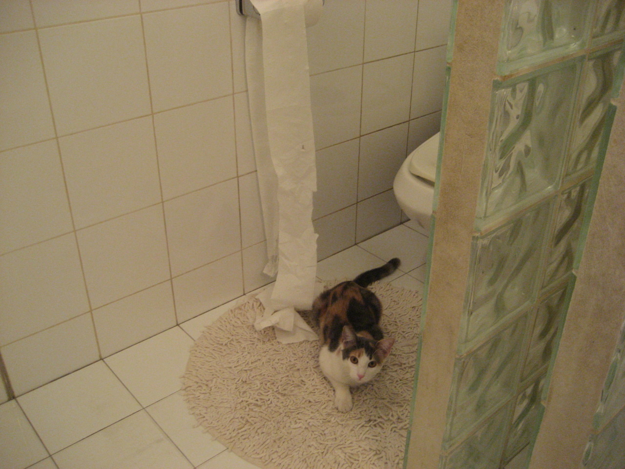 世界俱乐部杯在线观看-全国跳绳大赛新增团队创编花样项目，全国跳绳比赛项目