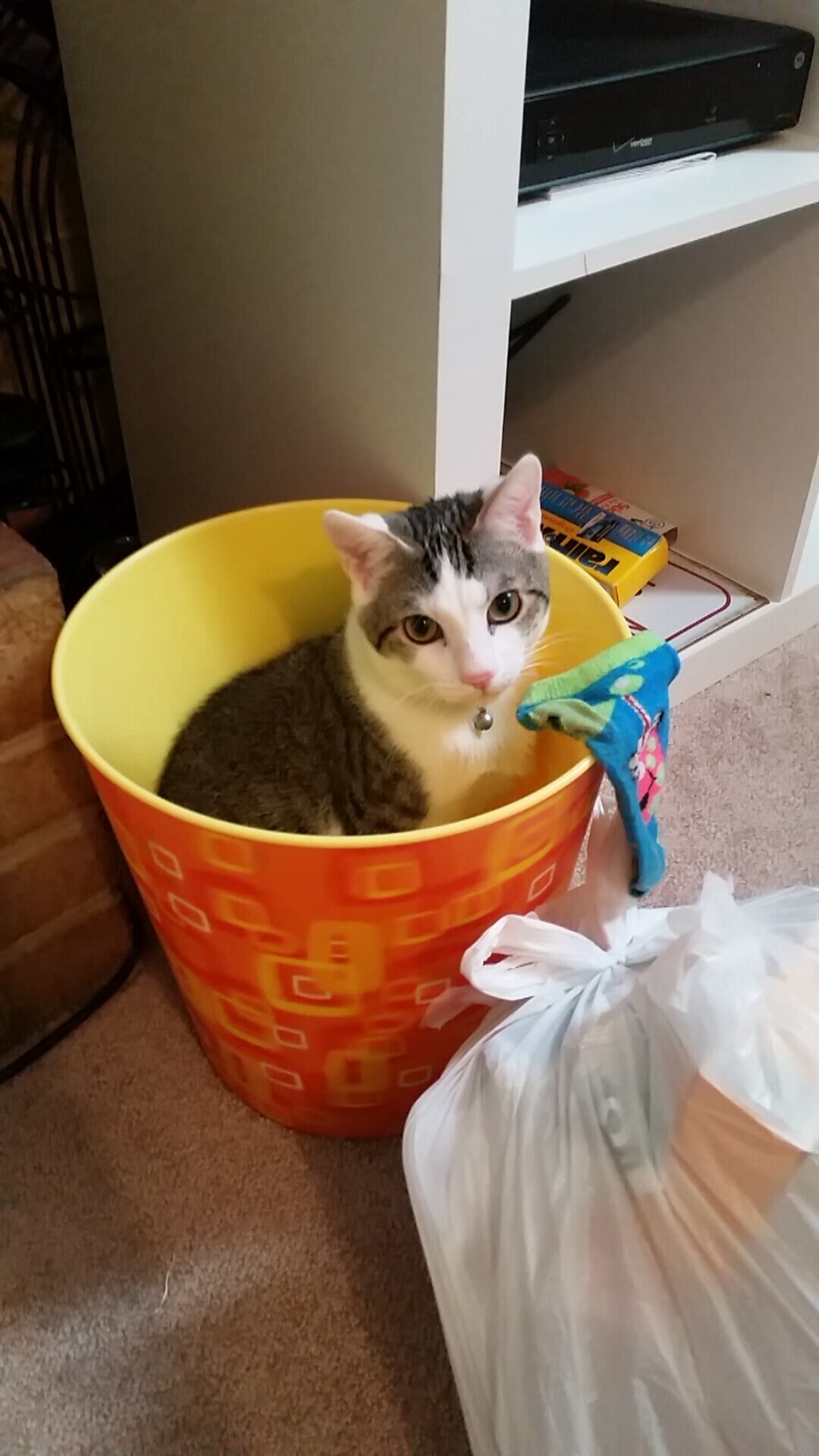 田径赛季选手竞技状态逐步回升，田径赛季是什么意思