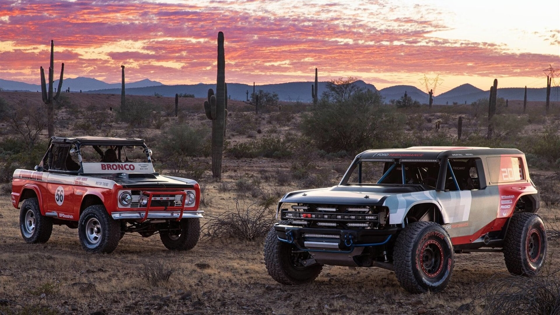 世界杯战场:英雄有时来自意想不到的角落,世界杯英雄情况