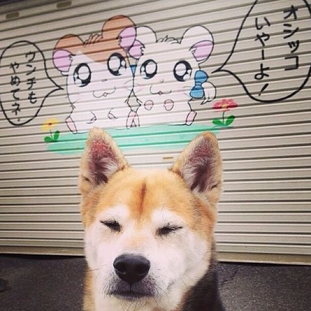 世界杯赛后运动员心理调适，运动员赛后心理调整