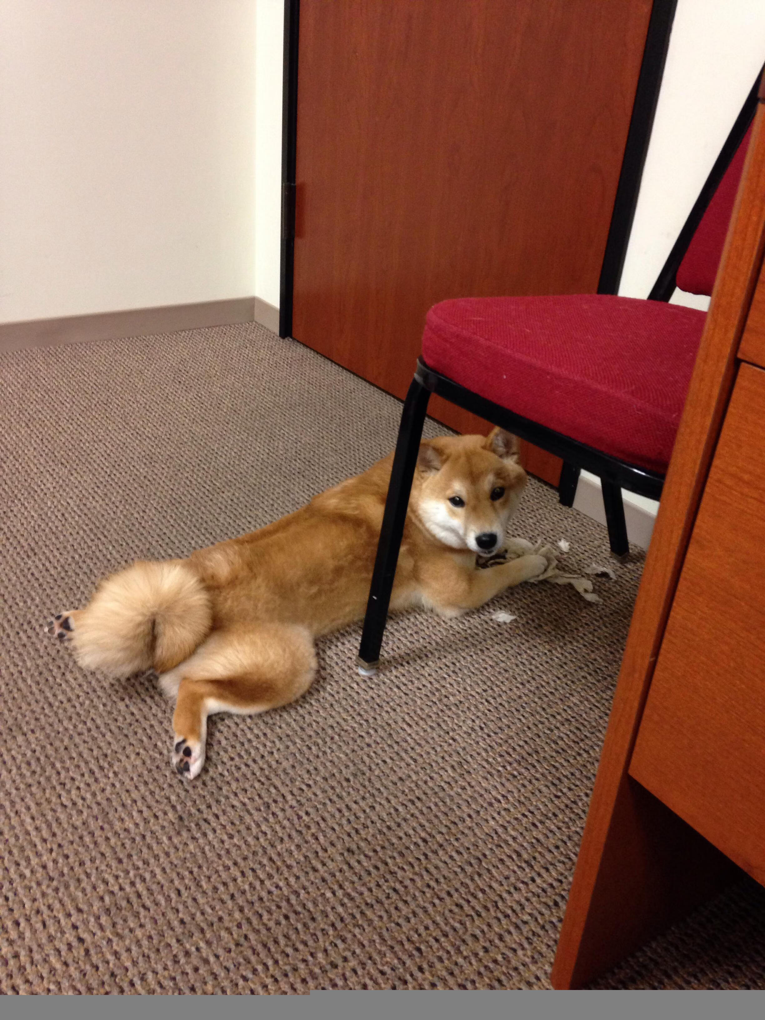 中国足球职业联赛推动俱乐部女性管理人才引进，女足俱乐部工资