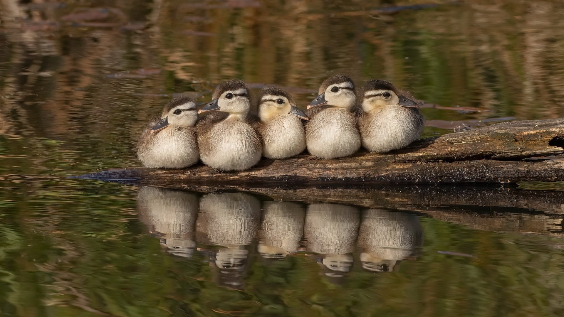 极限攀岩国家队选拔赛名单正式公布，攀岩极限挑战电影