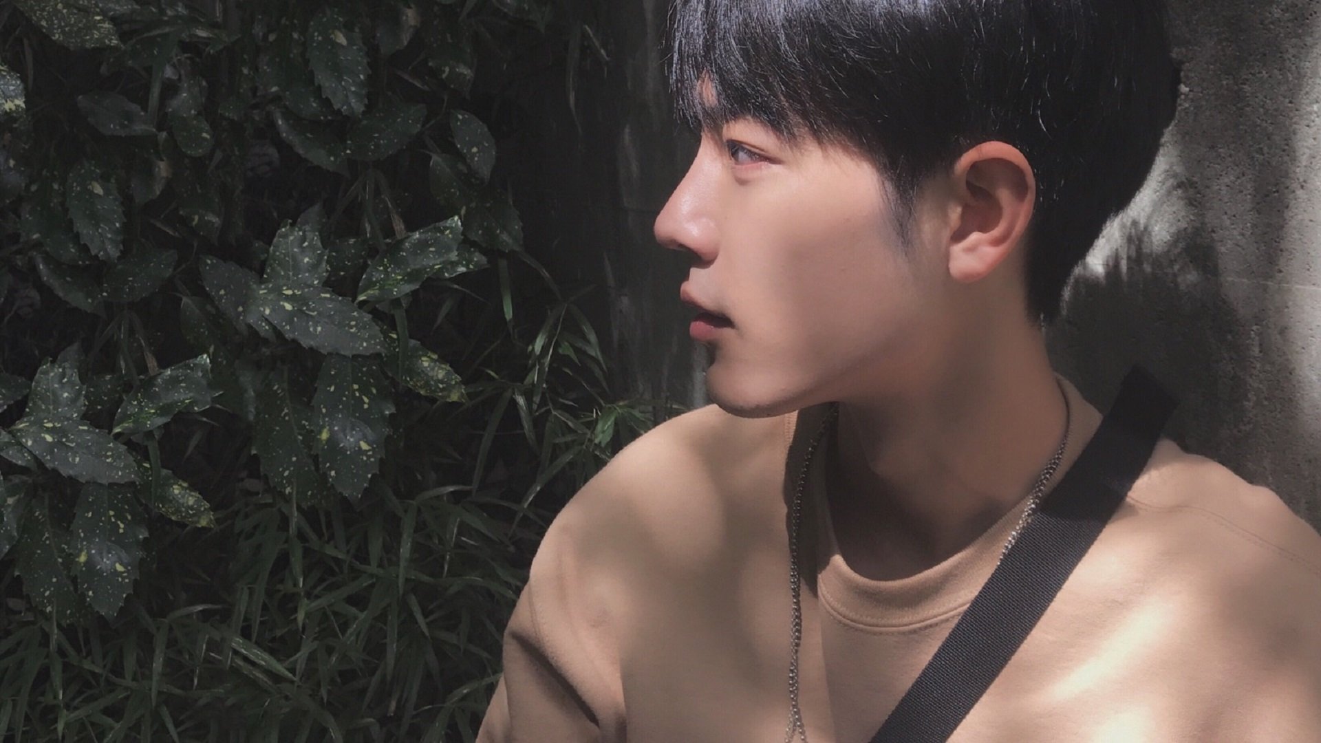 澳大利亚袋鼠队：如何利用球员的综合能力打破对手防线，袋鼠澳大利亚度百科