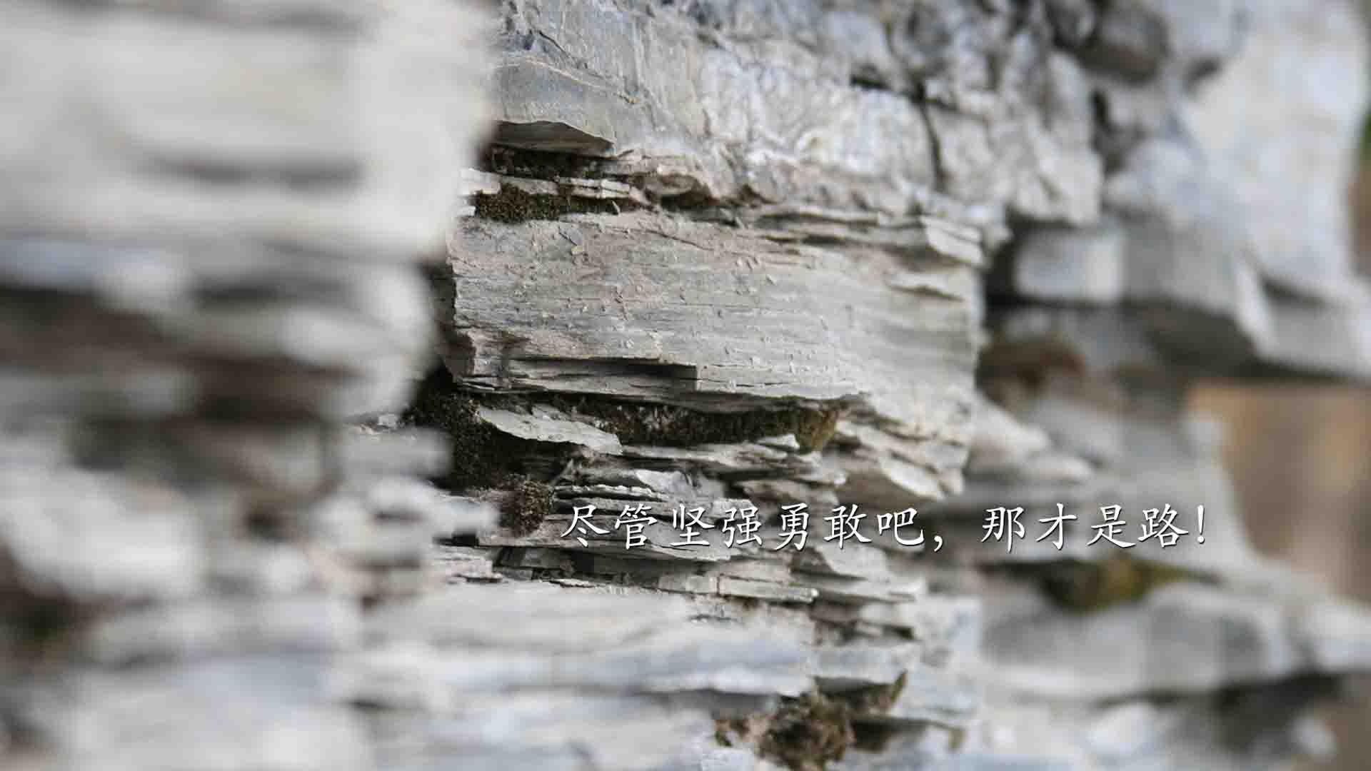 世俱杯比赛视频在线观看-阿伦·斯密斯：全黑队的技术与战术大师，进攻流畅犀利，阿伦斯集锦