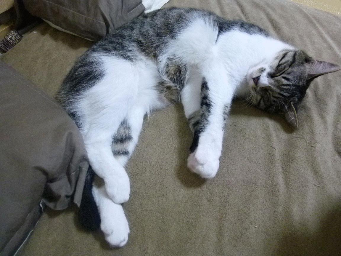 阿莱克西：我热爱这种极限挑战，阿莱克西·莱霍